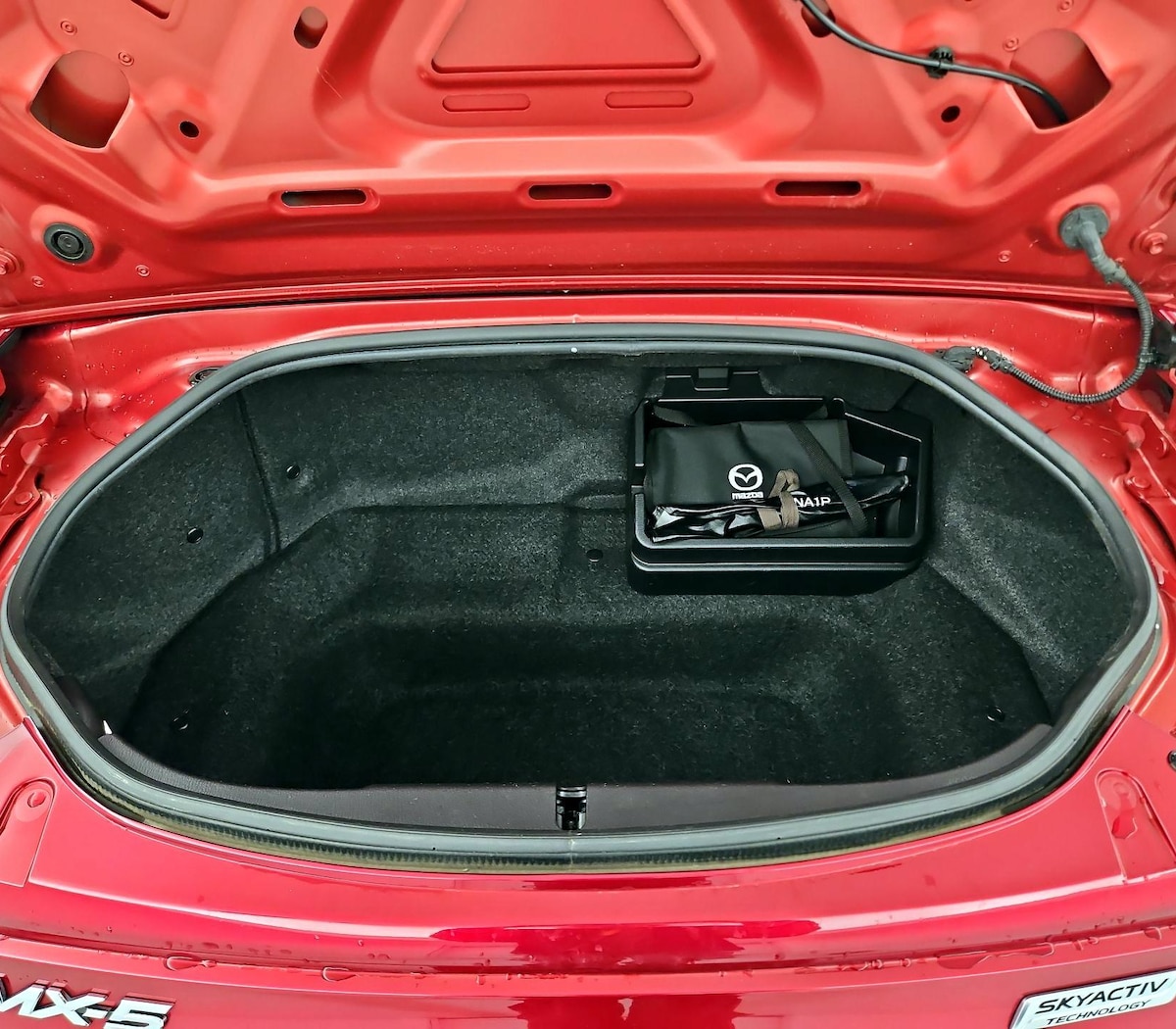 Trunk/Cargo (Seats Up)