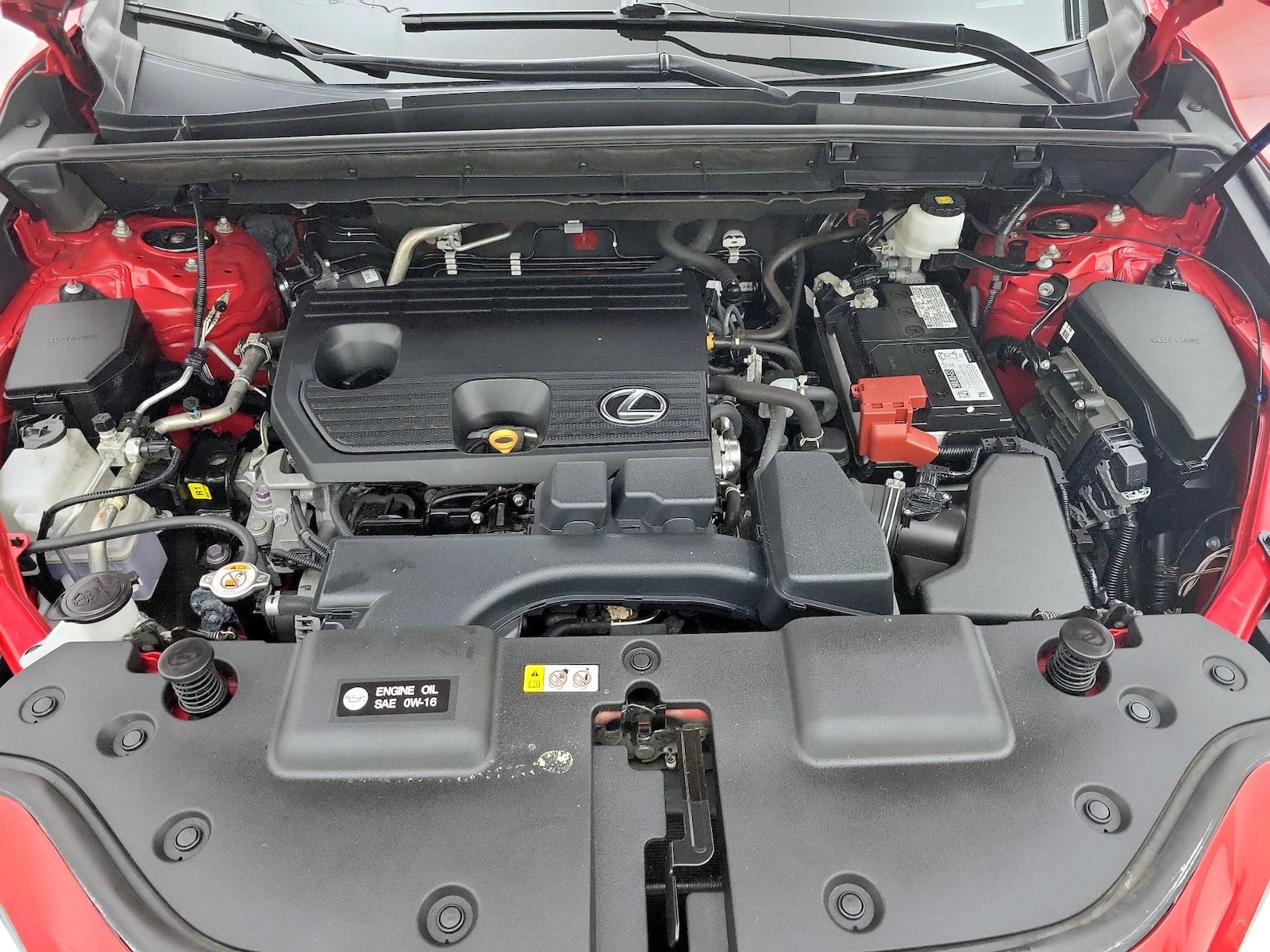 2024 Lexus NX 250 - Photo 22