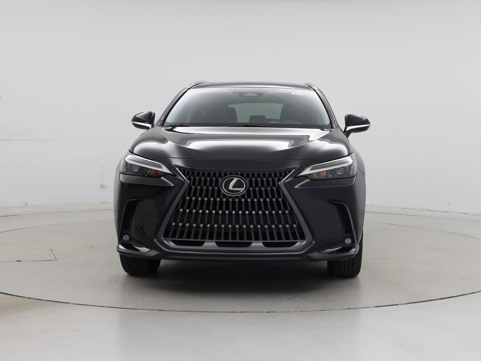 2024 Lexus NX 250 - Photo 6