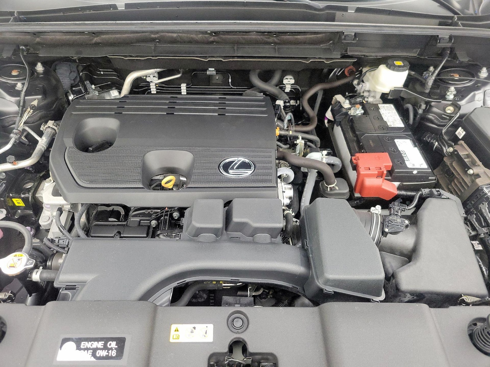 2024 Lexus NX 250 - Photo 23