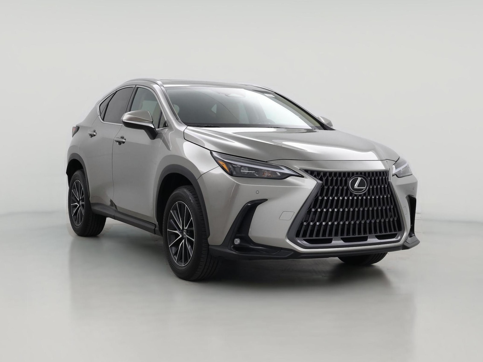 2024 Lexus NX
