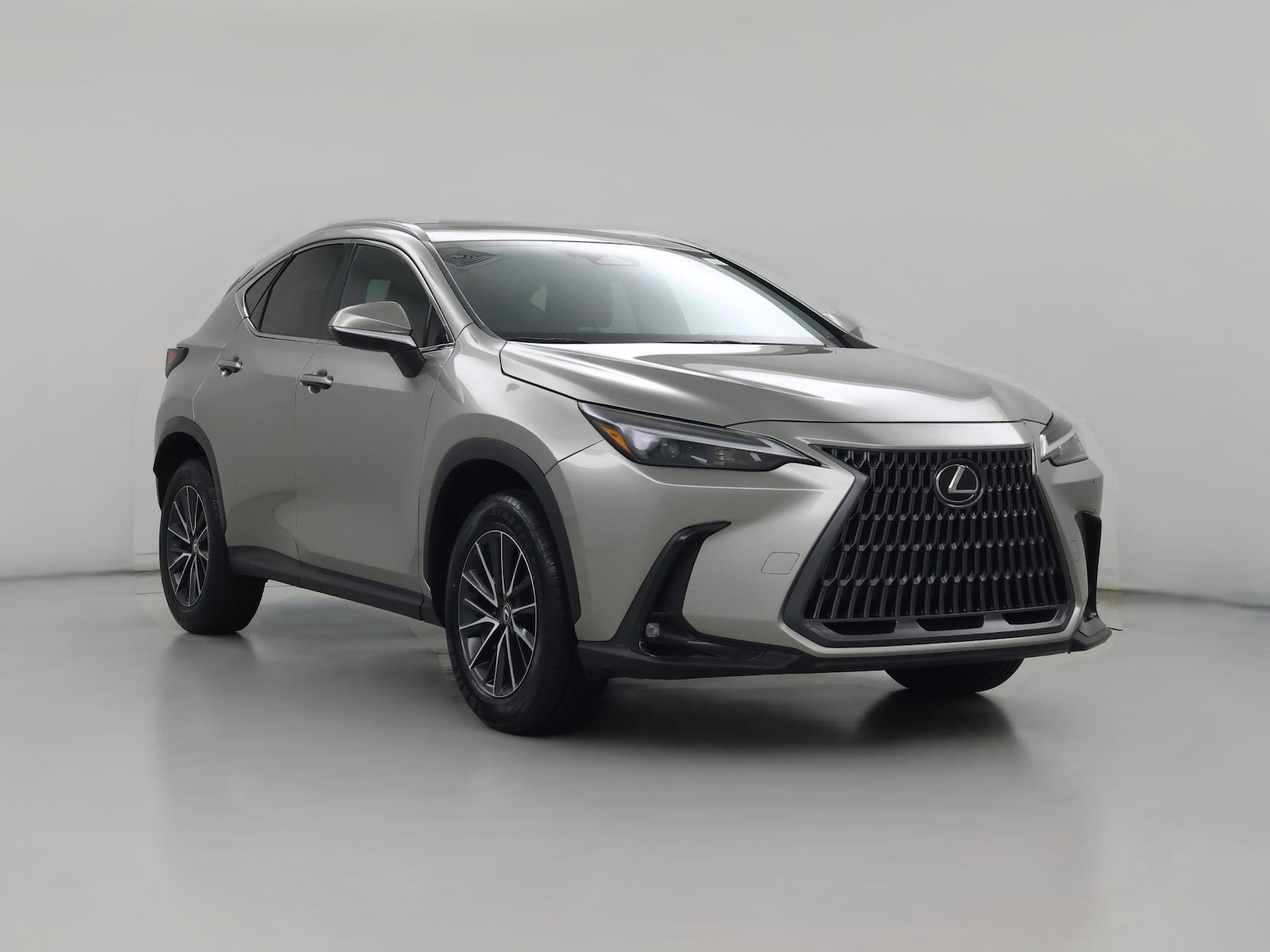 2024 Lexus NX