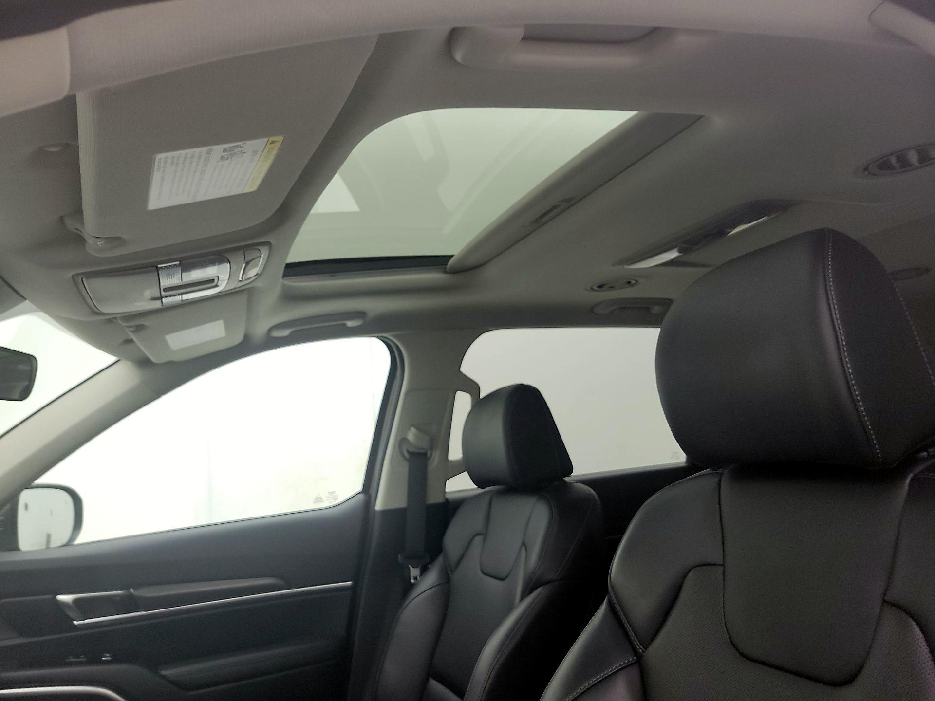 Thumbnail: 2025 Kia Telluride - 20