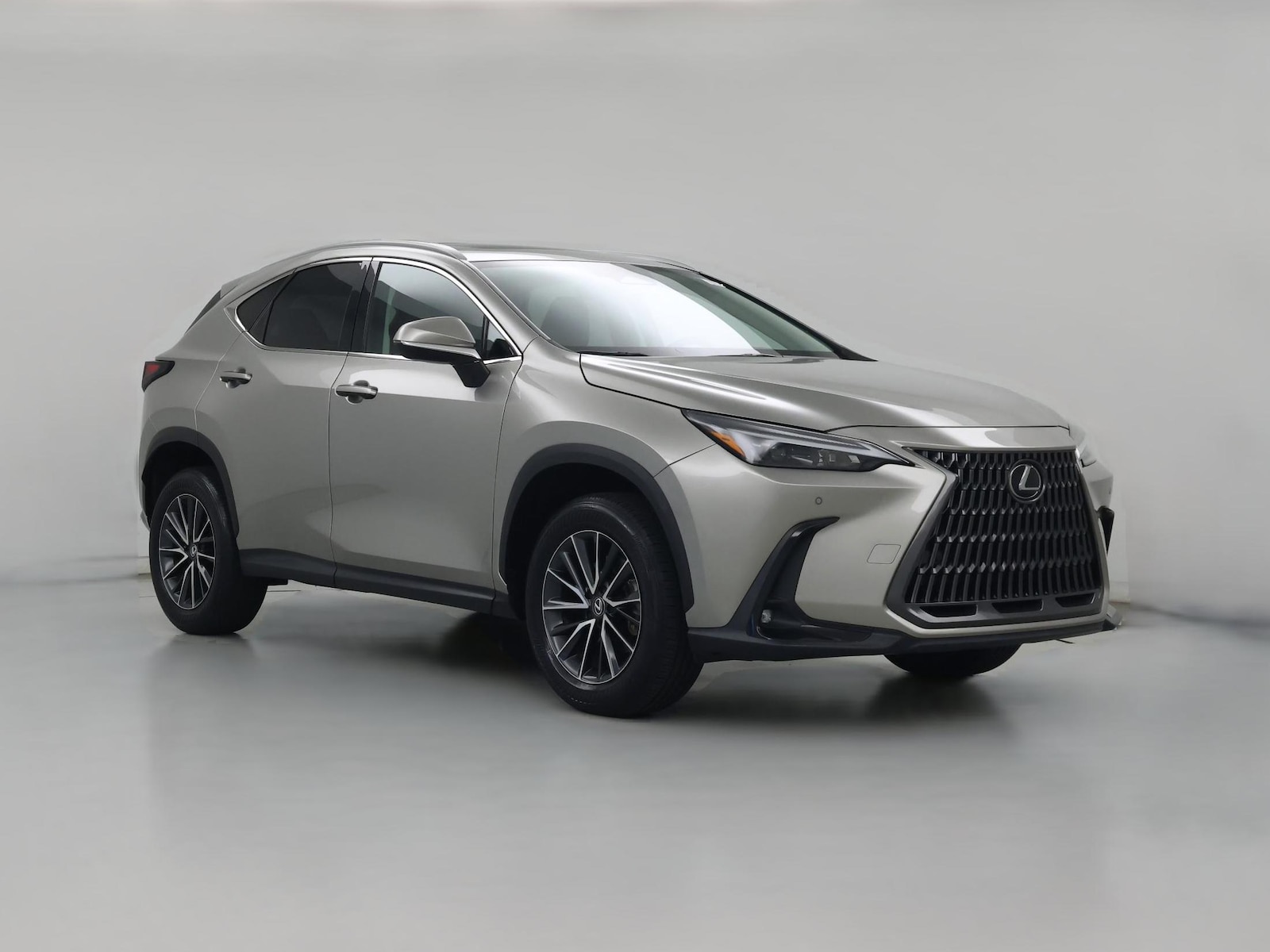 2024 Lexus NX