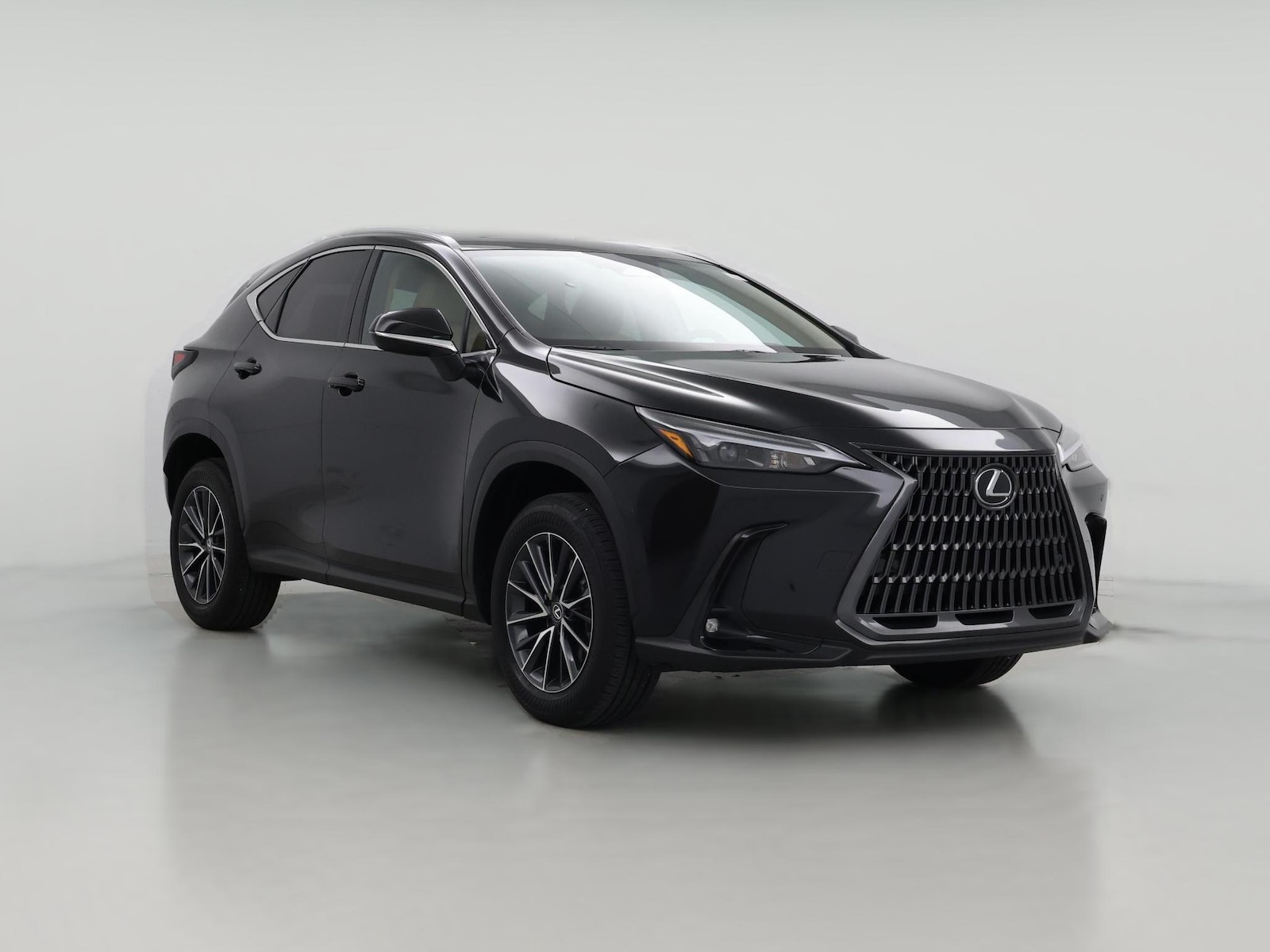 2025 Lexus NX