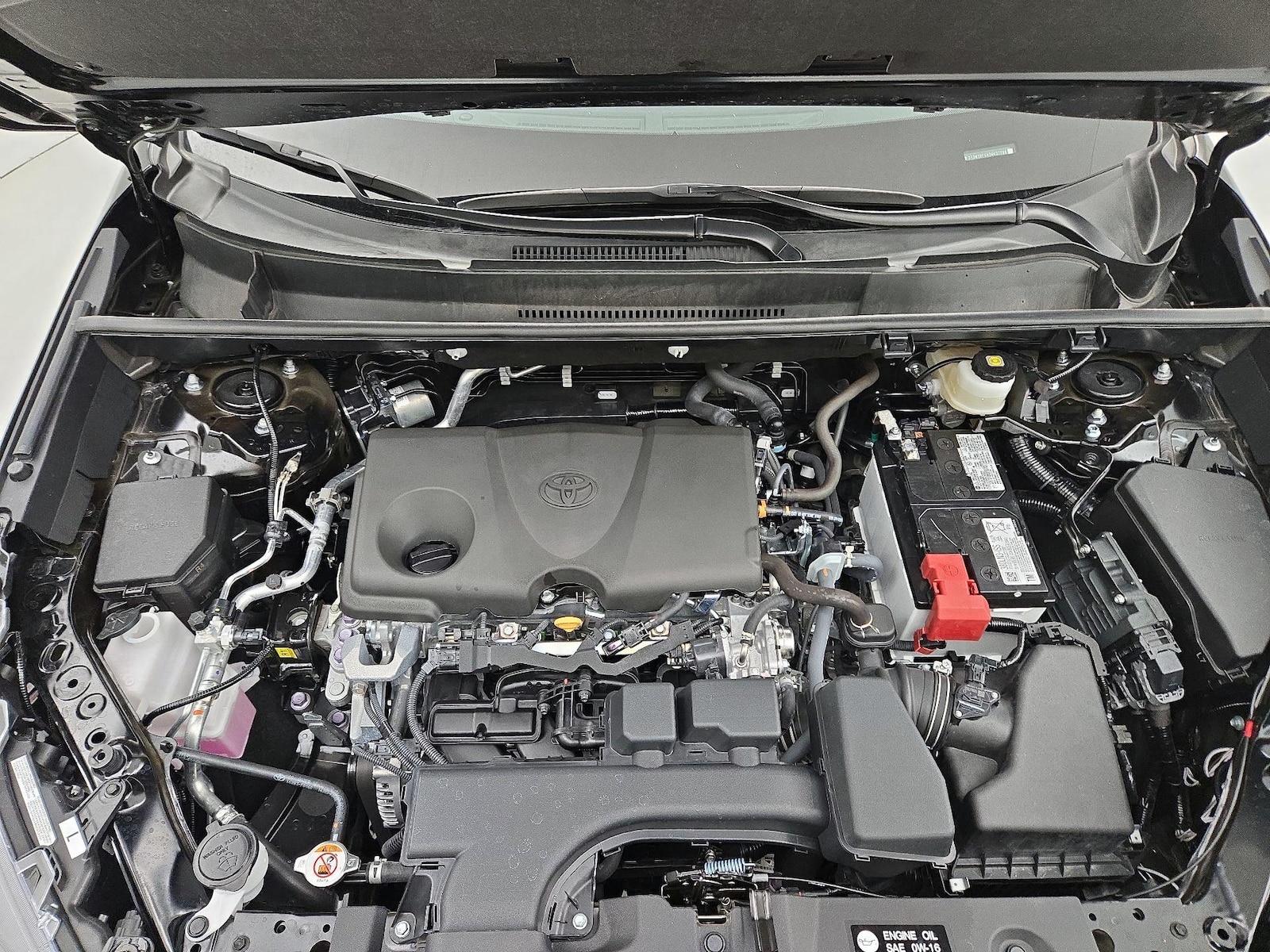 2025 Toyota RAV4 XLE - Photo 23