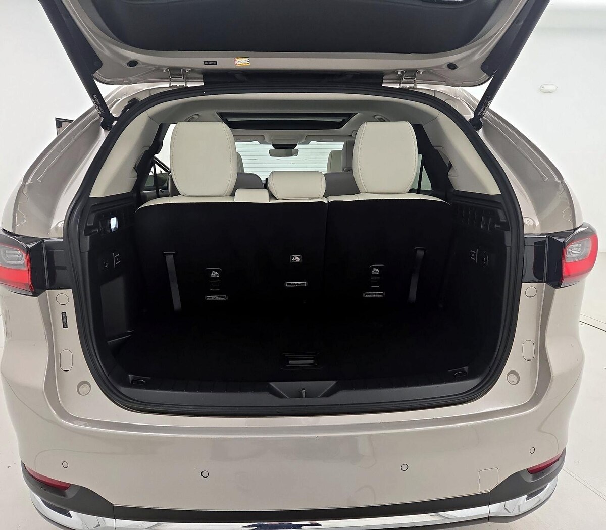 Trunk/Cargo (Seats Up)