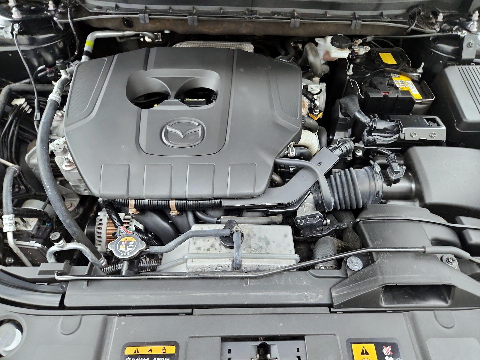 2025 Mazda CX-5 S Preferred package - Photo 21