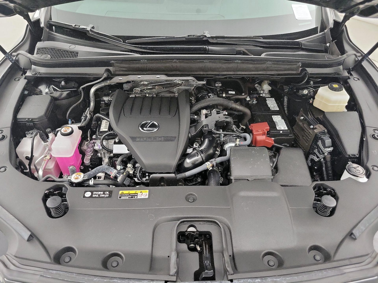 2025 Lexus RX 350 - Photo 23