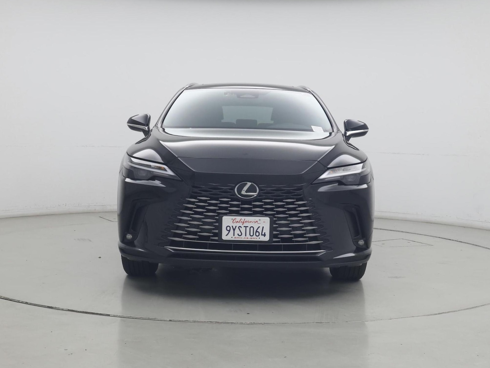 2025 Lexus RX 350 - Photo 6