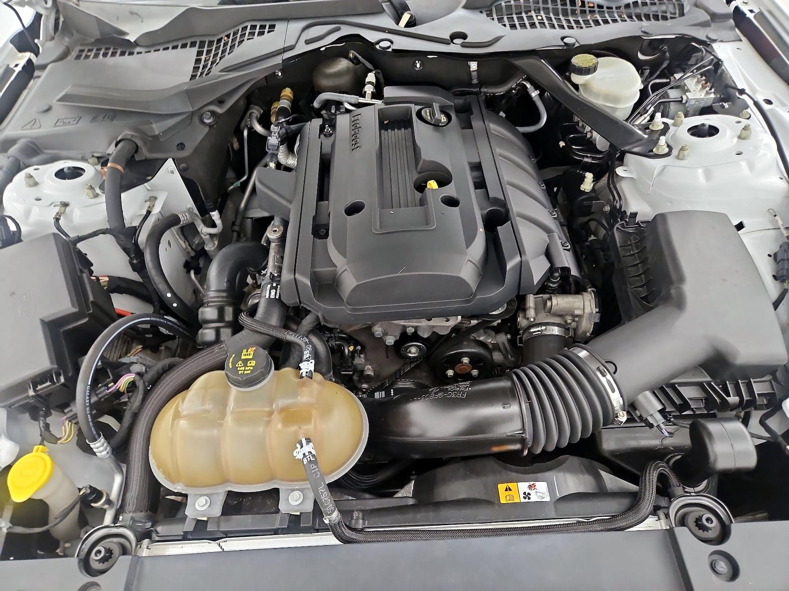 2015 Ford Mustang EcoBoost - Photo 22