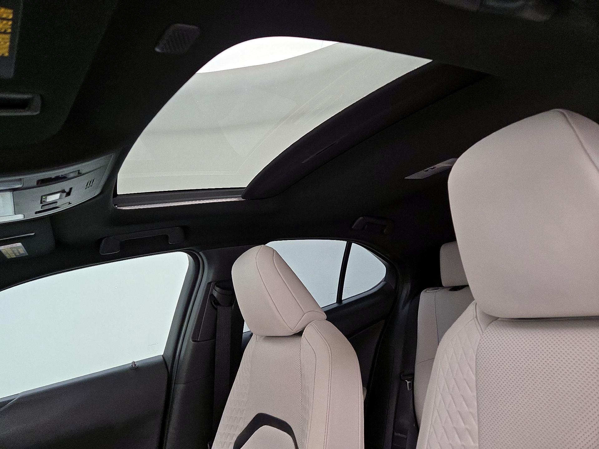 Thumbnail: 2020 Lexus UX - 19