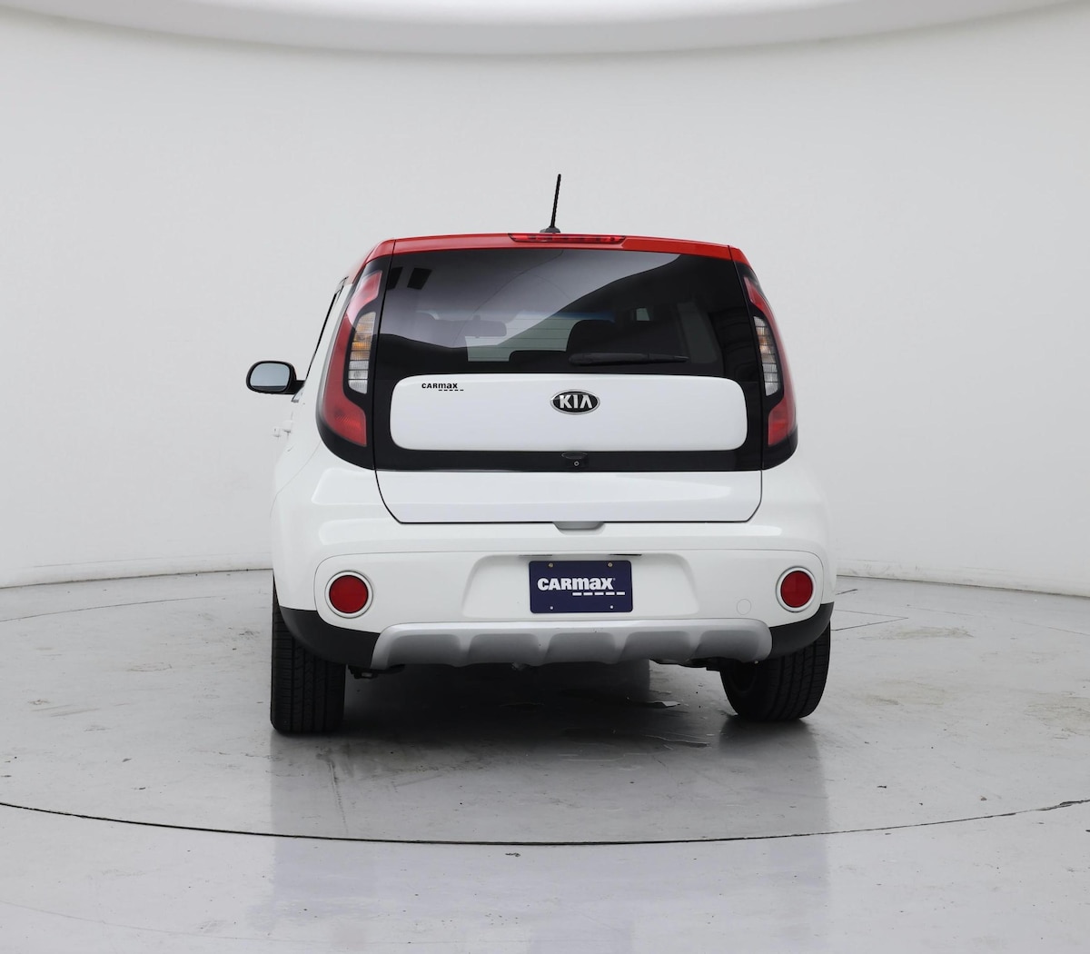 Rear