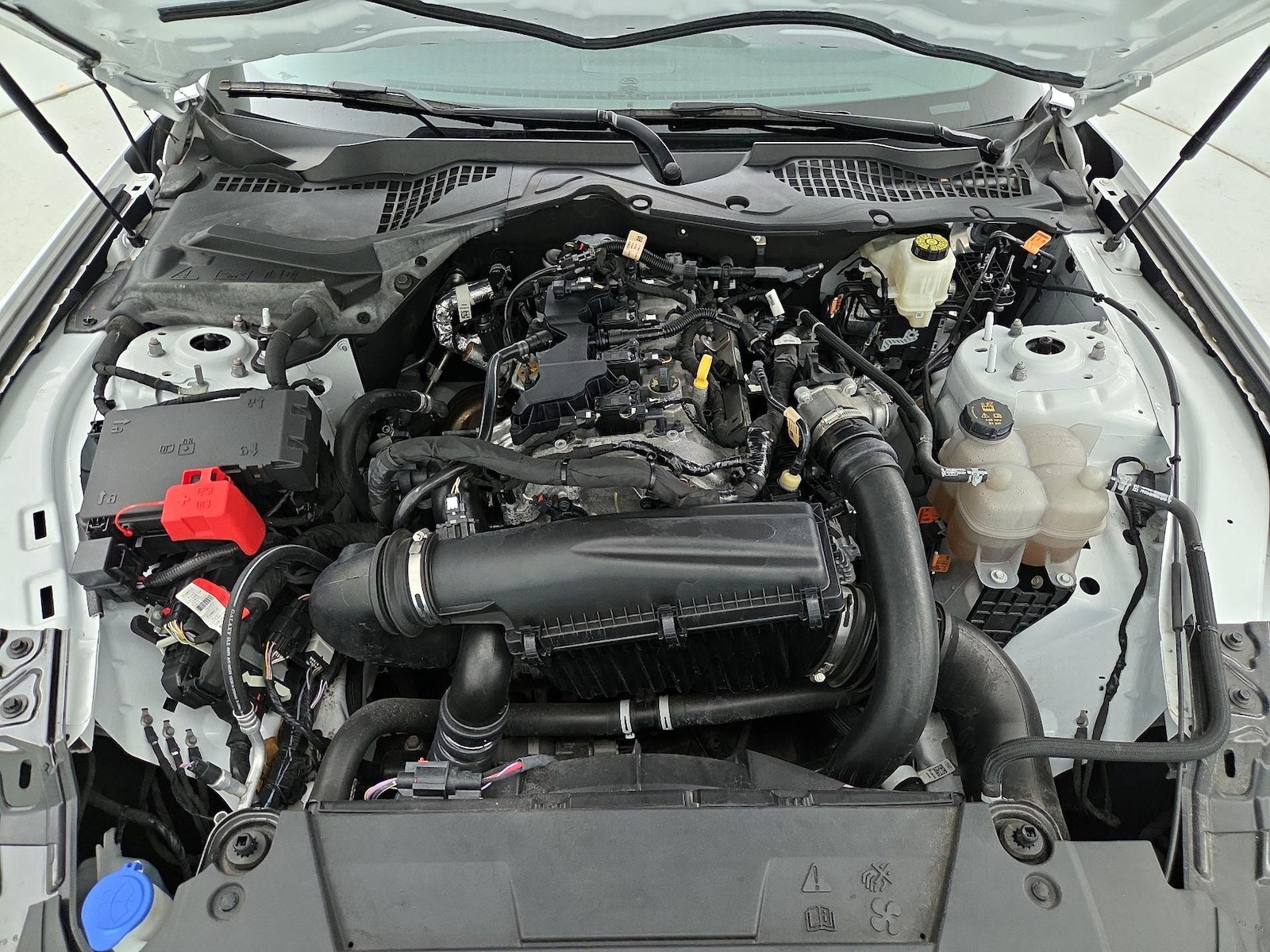 2024 Ford Mustang EcoBoost - Photo 22