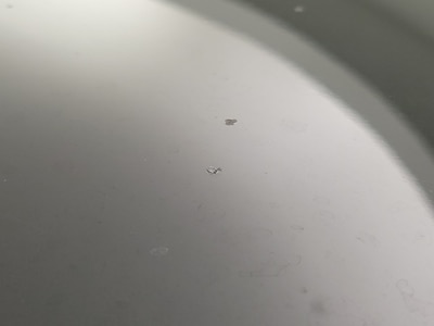 Condition detail