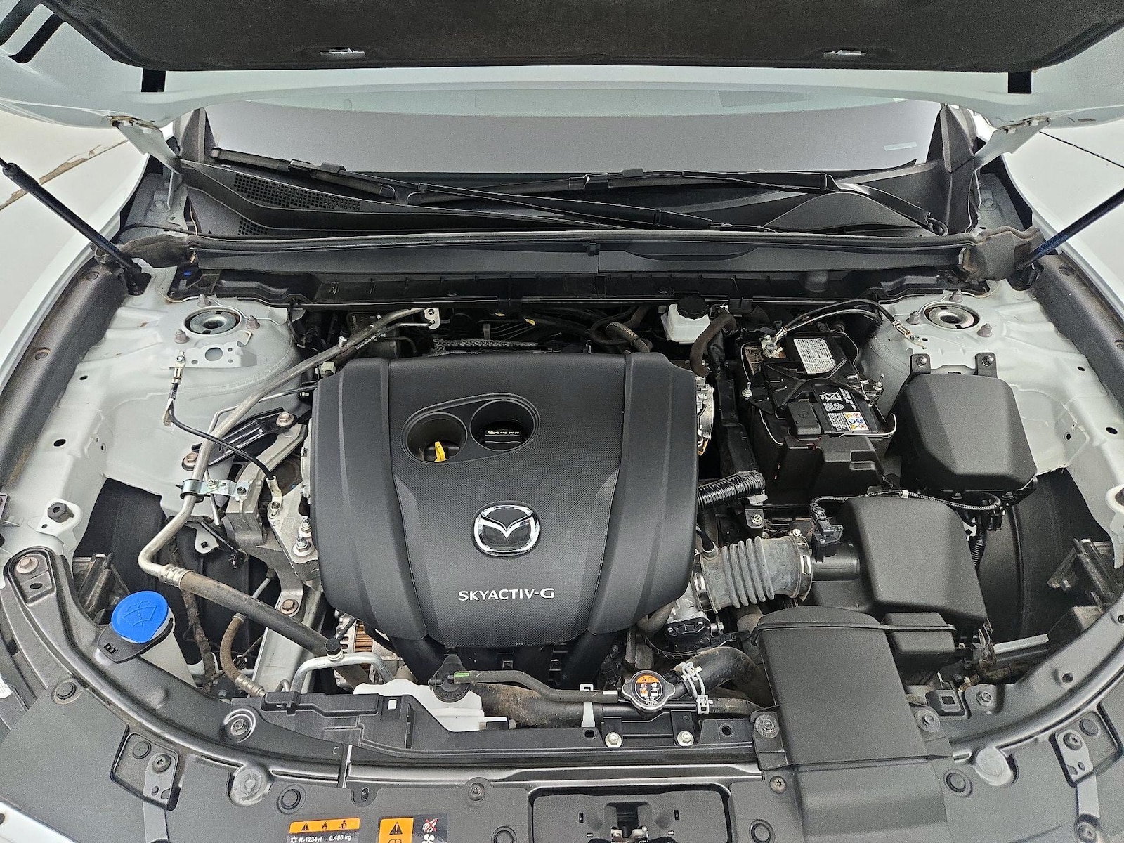 2024 Mazda CX-50 S PREMIUM PLUS - Photo 14