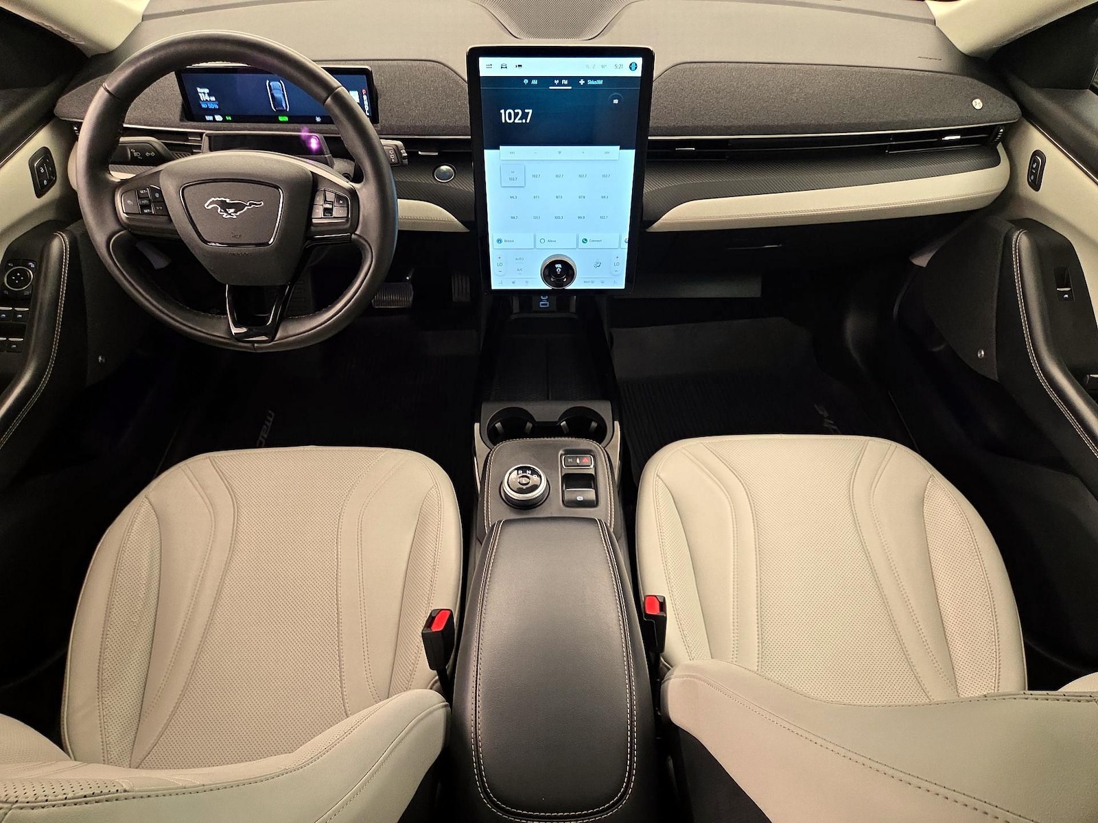 2022 Ford Mustang Mach-E Premium RWD - Photo 10