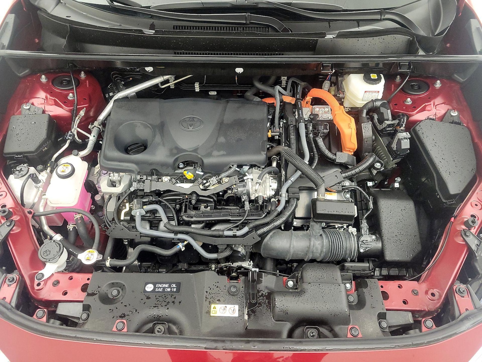 2025 Toyota RAV4 XLE - Photo 24