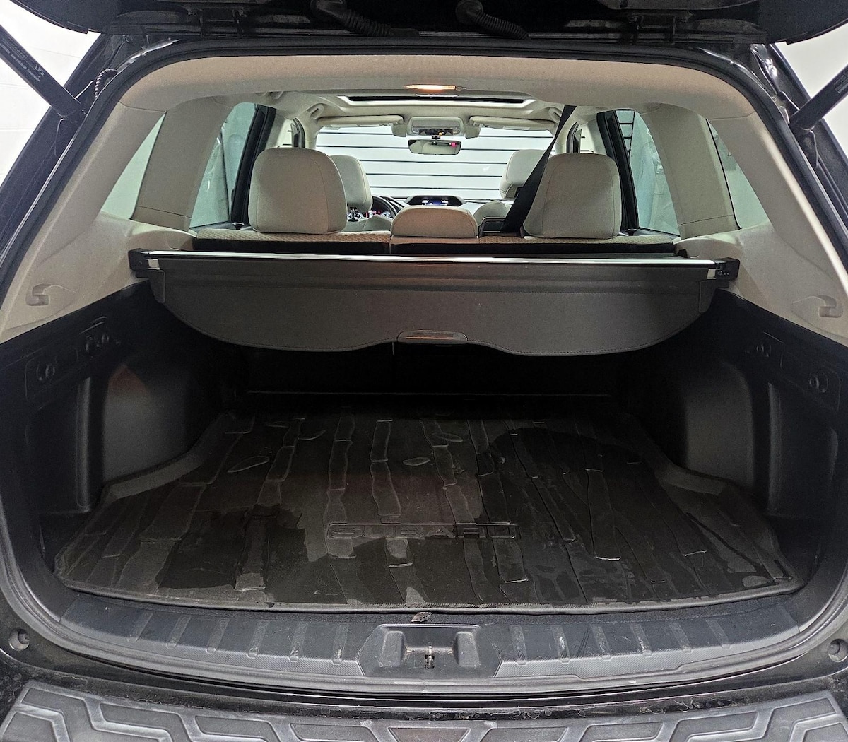 Trunk/Cargo (Seats Up)