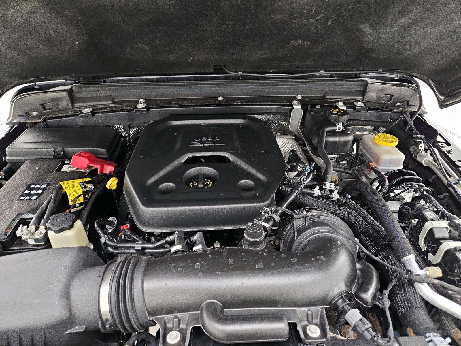 2025 Jeep Wrangler 4-Door Rubicon - Photo 22