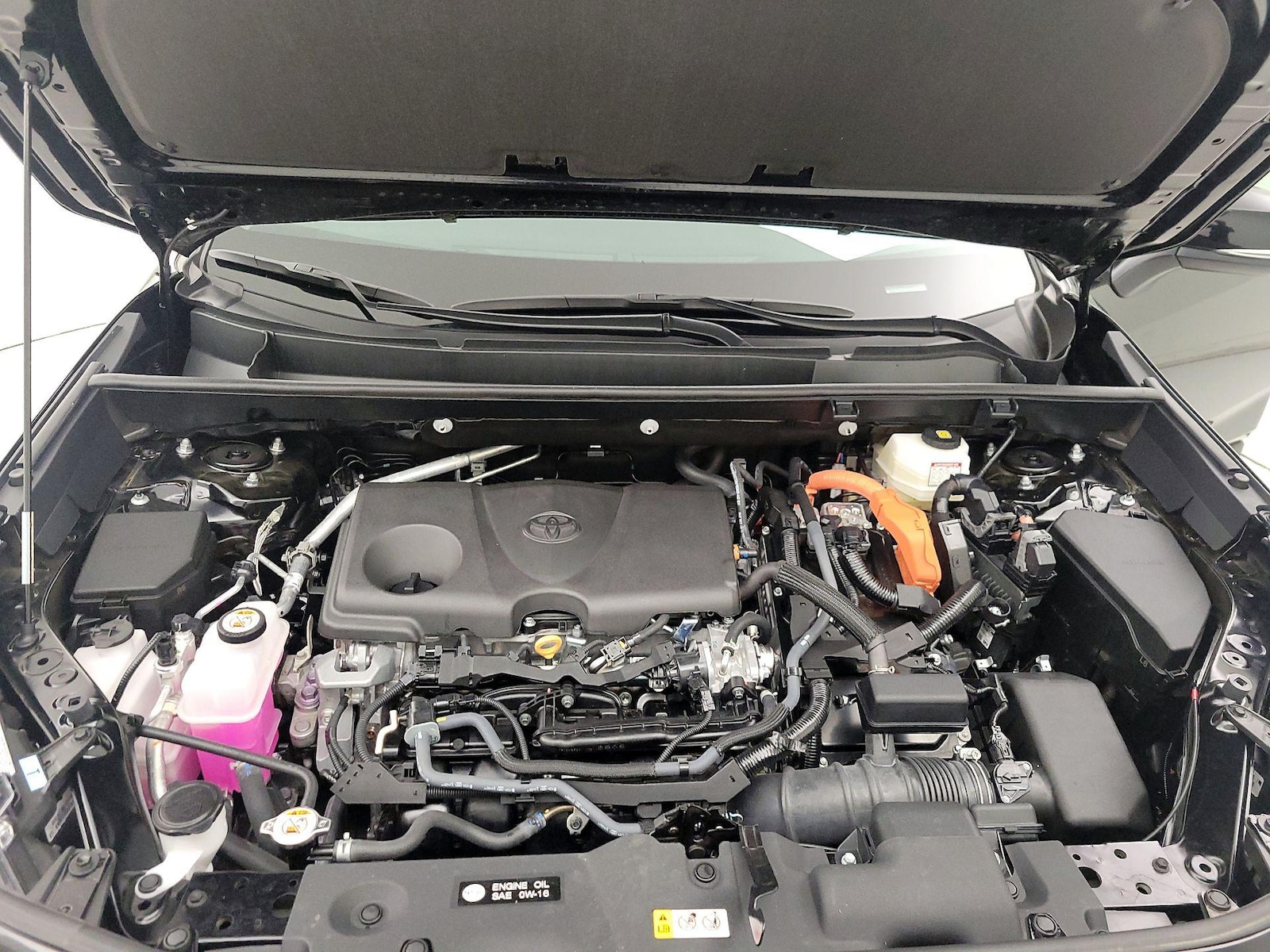 2025 Toyota RAV4 XLE - Photo 24