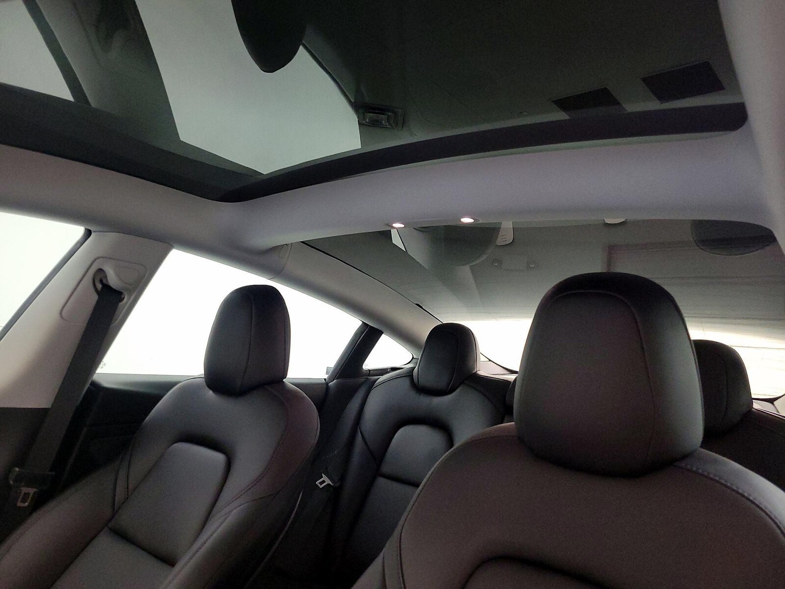 Skylight(s) & Overhead Airbags