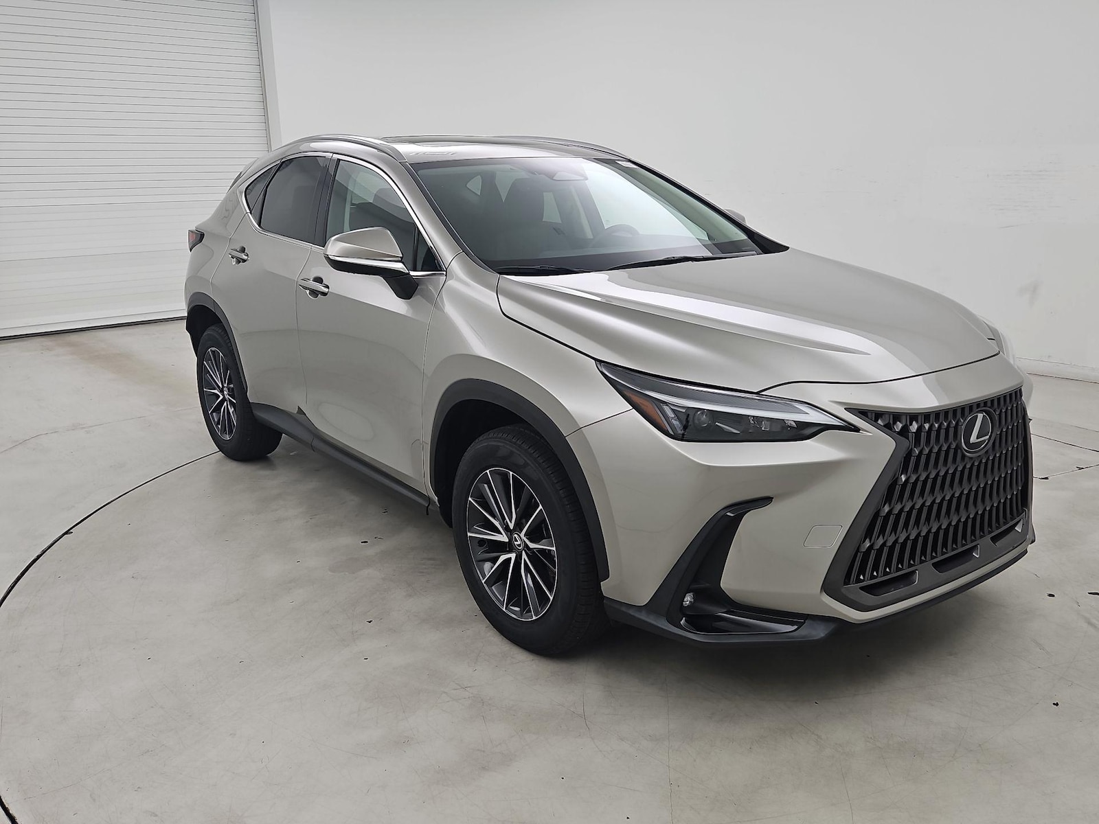 2024 Lexus NX