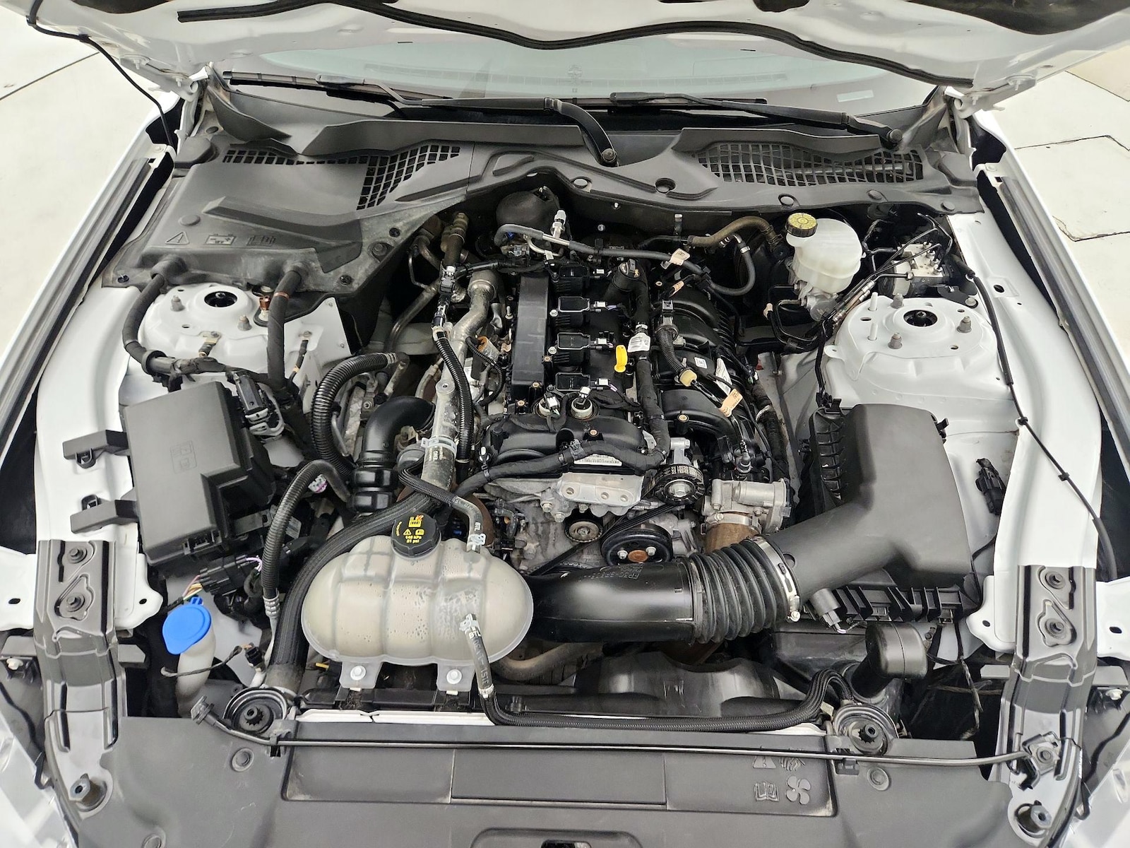 2021 Ford Mustang EcoBoost - Photo 21
