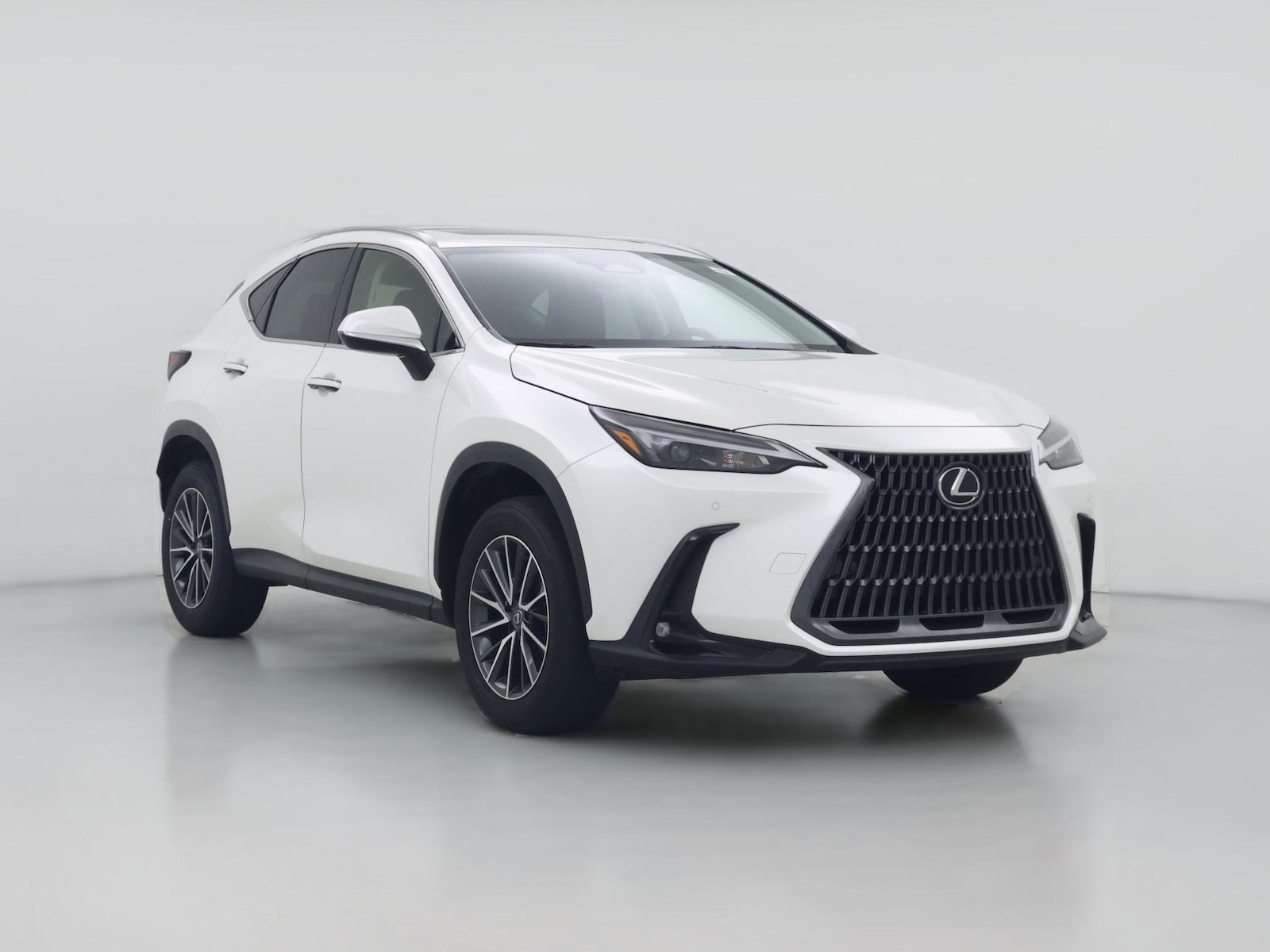 2024 Lexus NX