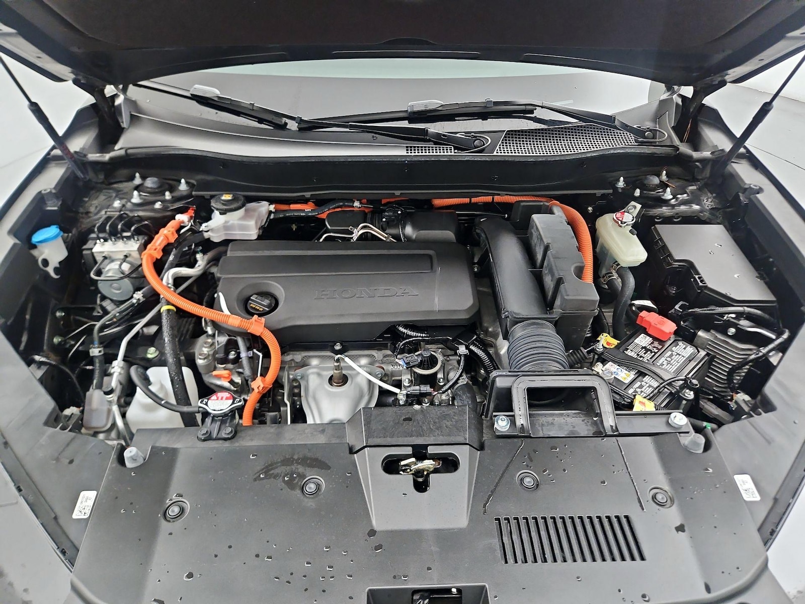 Photo 16