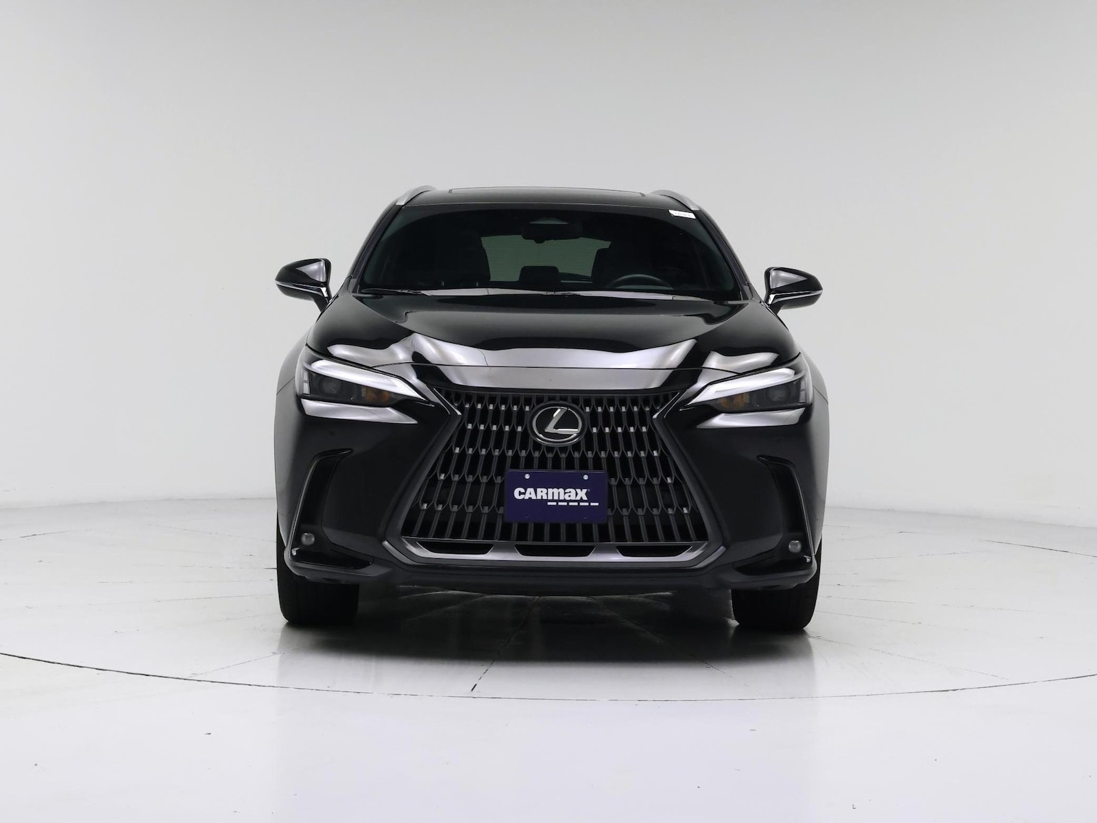 2024 Lexus NX 350 - Photo 6