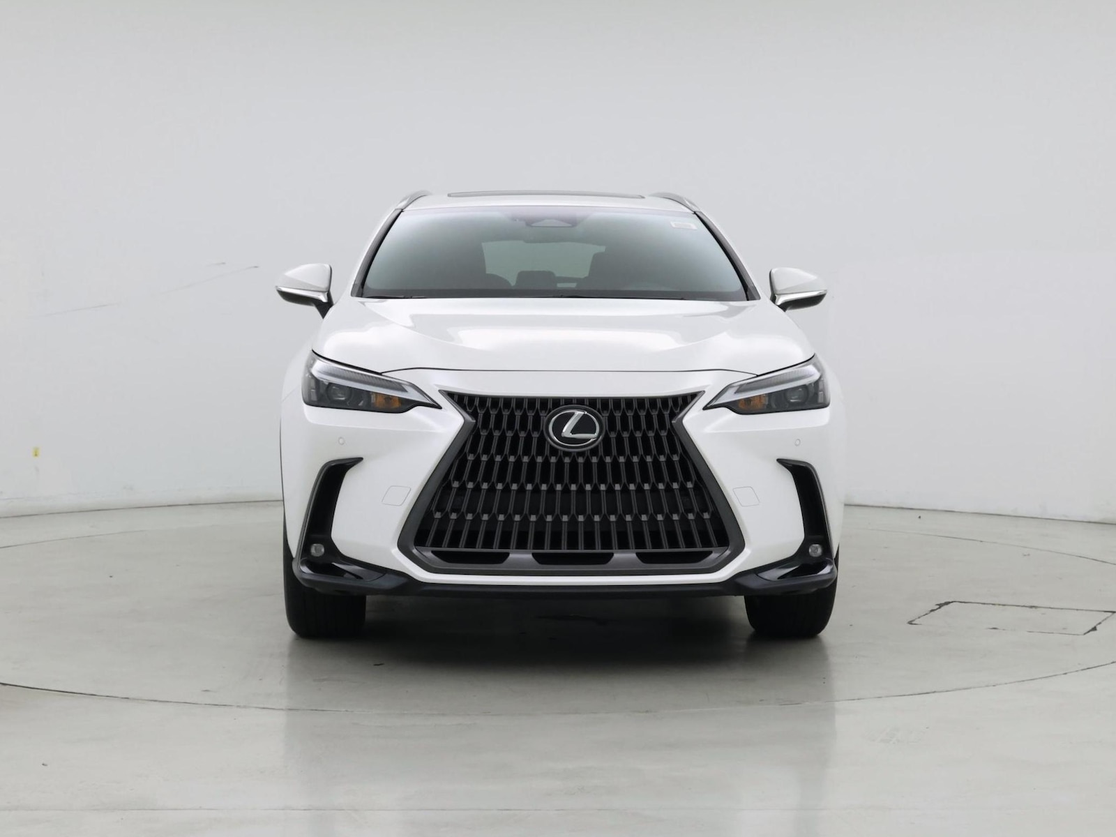 2024 Lexus NX 250 - Photo 6