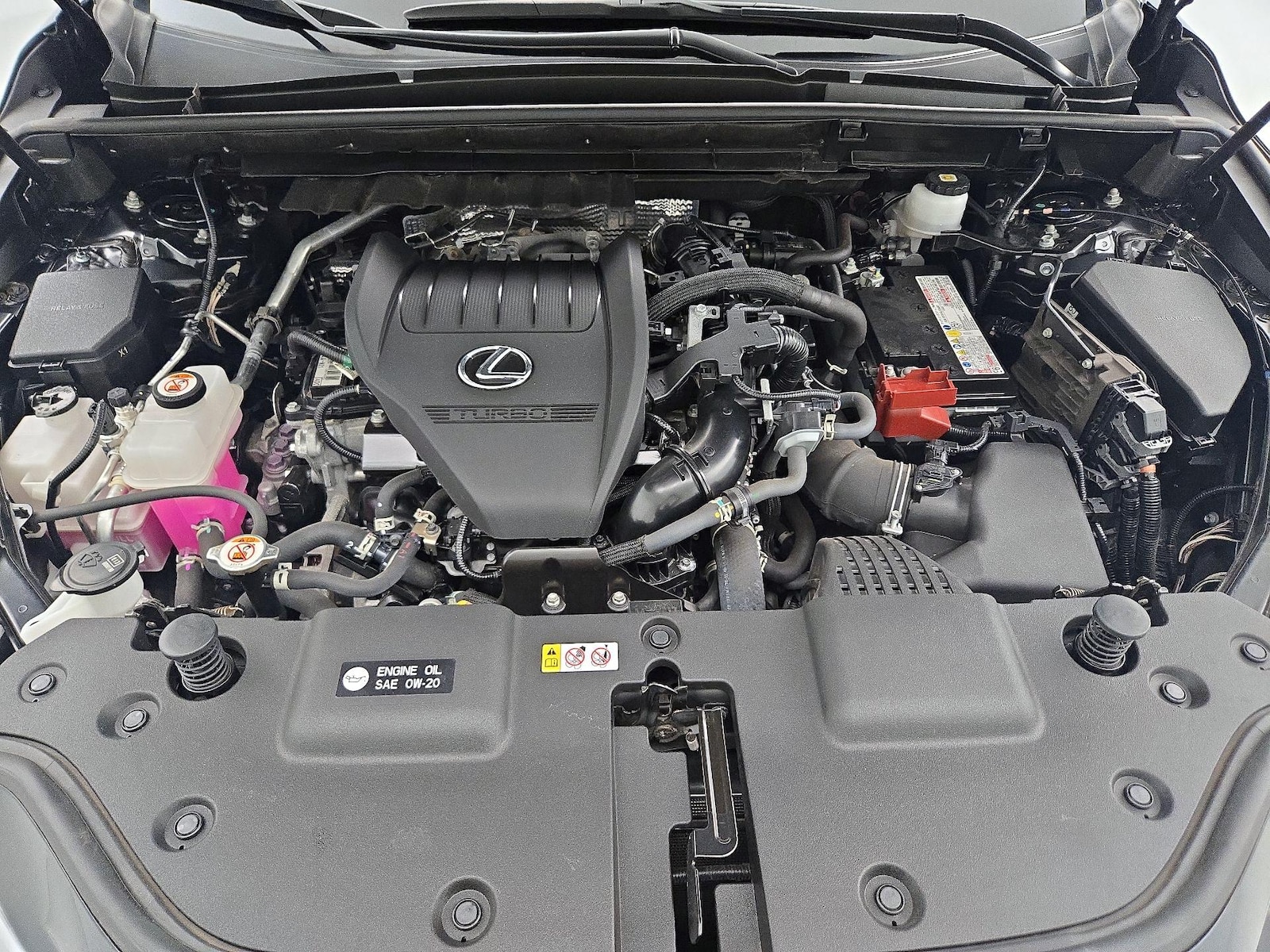 2024 Lexus NX 350 - Photo 24