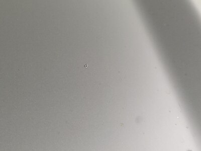 Condition detail
