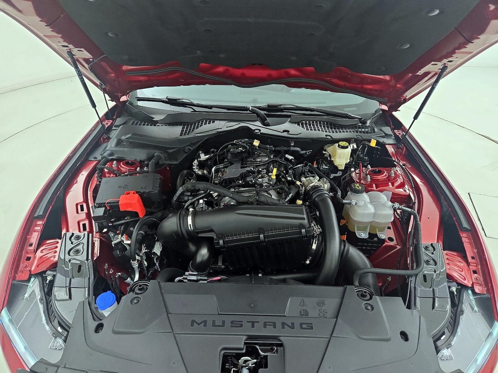 2024 Ford Mustang EcoBoost - Photo 21