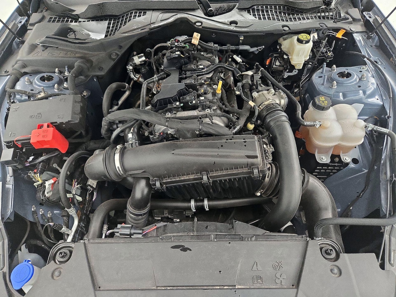 2024 Ford Mustang EcoBoost - Photo 22
