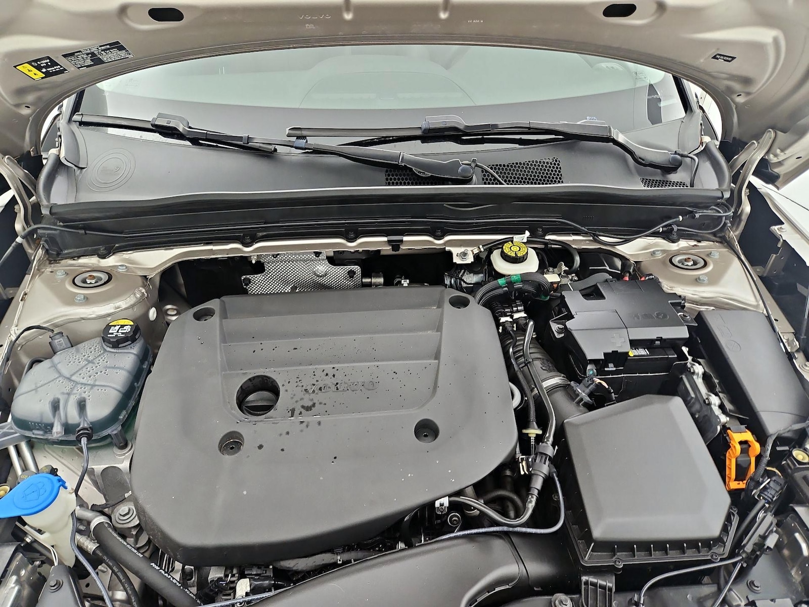 2024 Volvo XC40 Plus - Photo 24