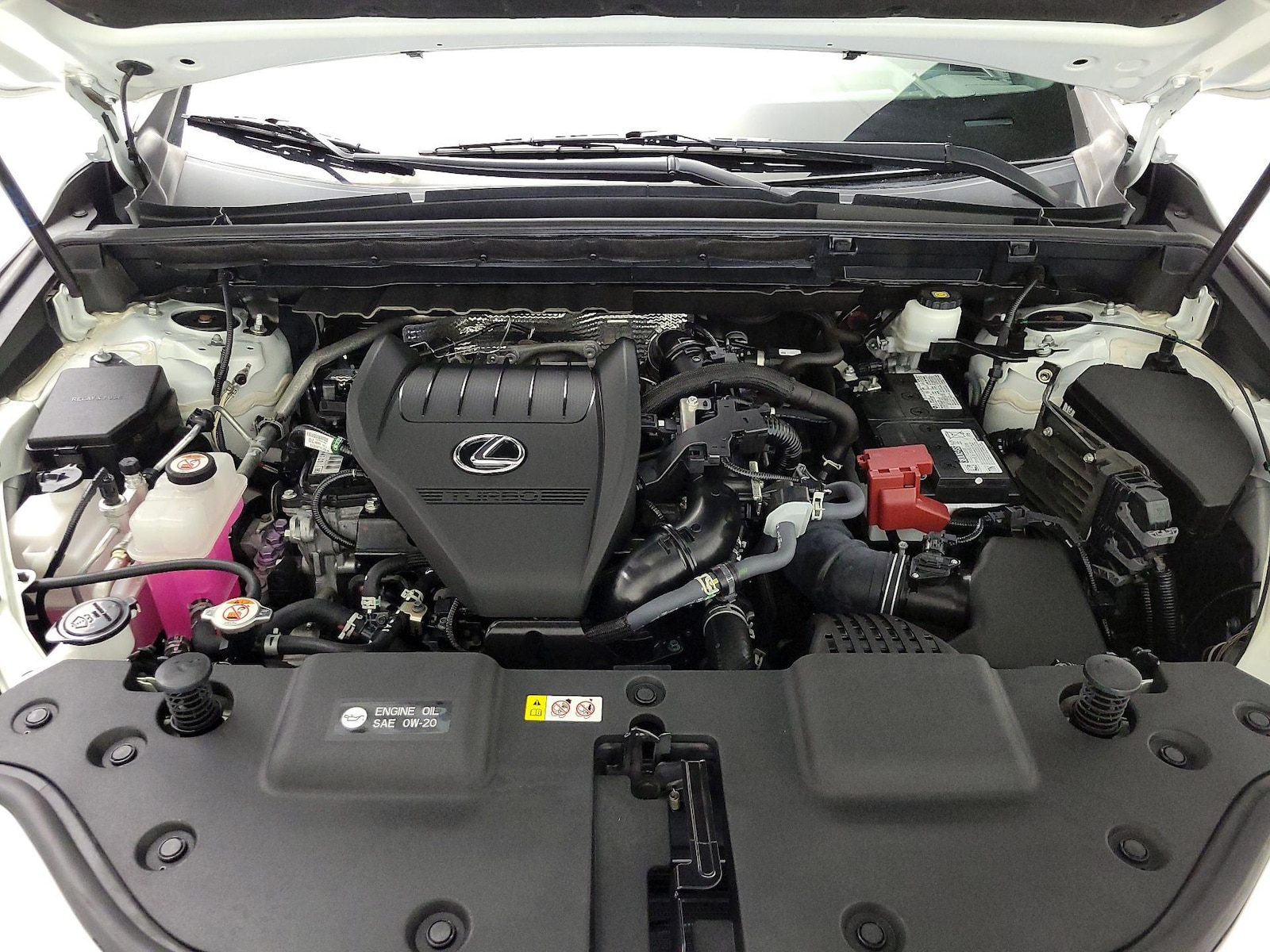 2024 Lexus NX 350 - Photo 25
