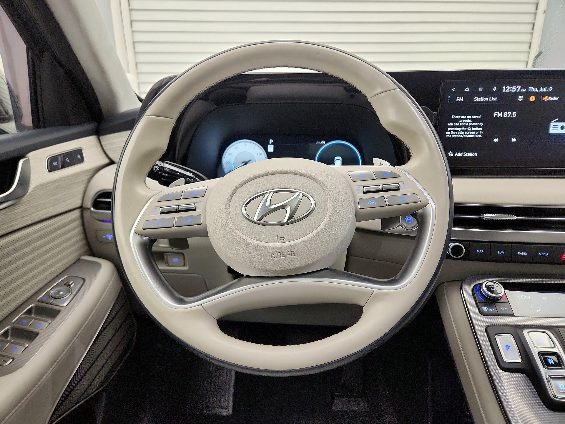 Thumbnail: 2024 Hyundai Palisade - 10