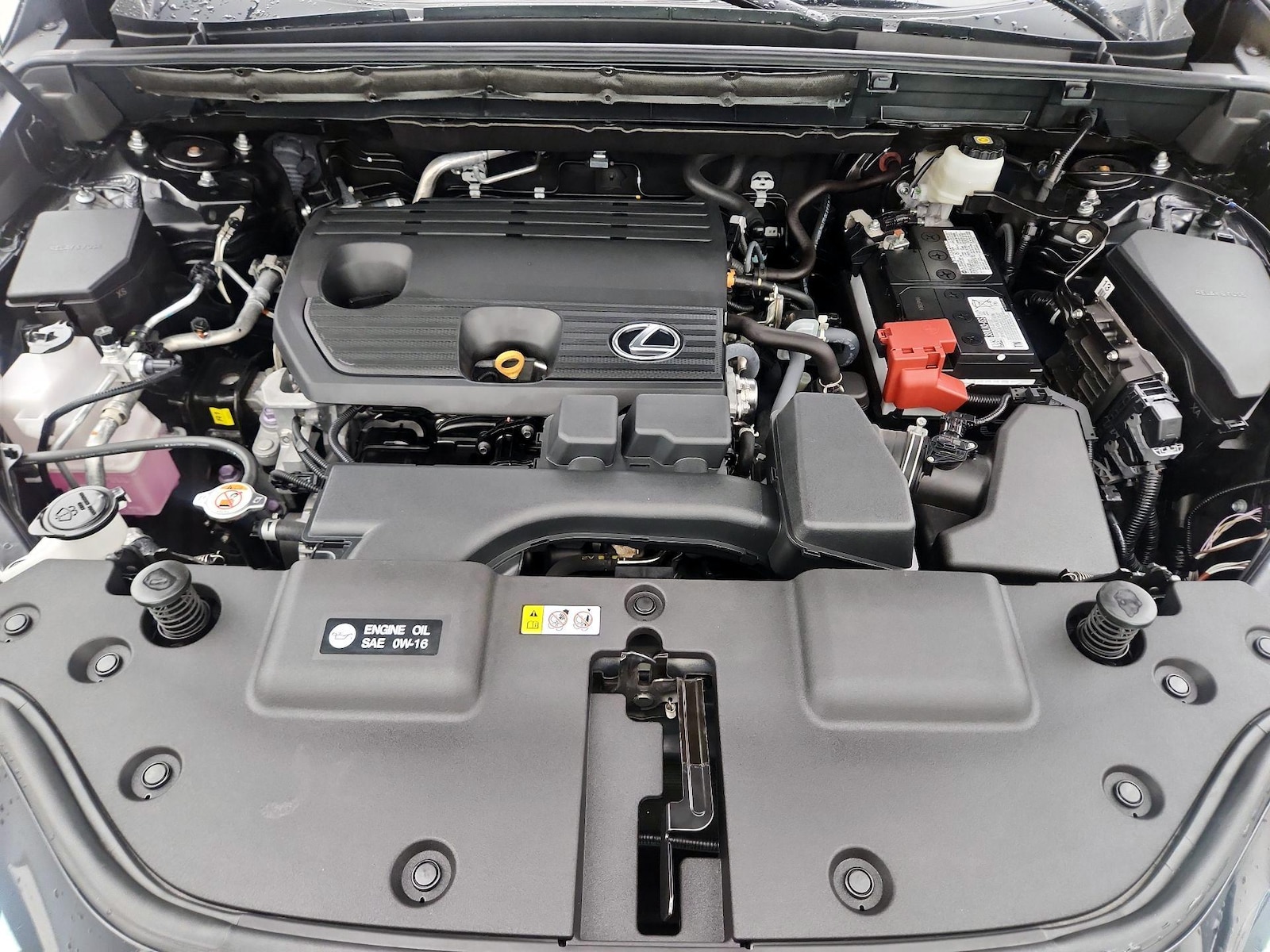 2024 Lexus NX 250 - Photo 23