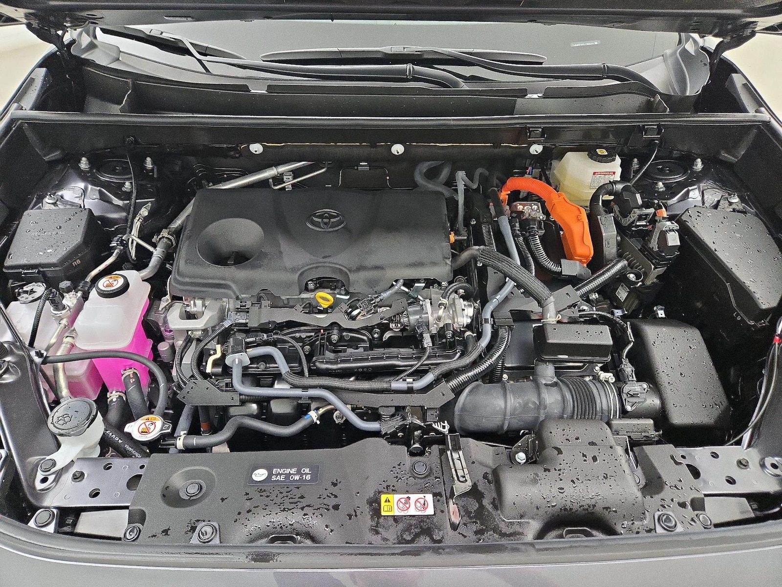 2025 Toyota RAV4 XLE - Photo 22