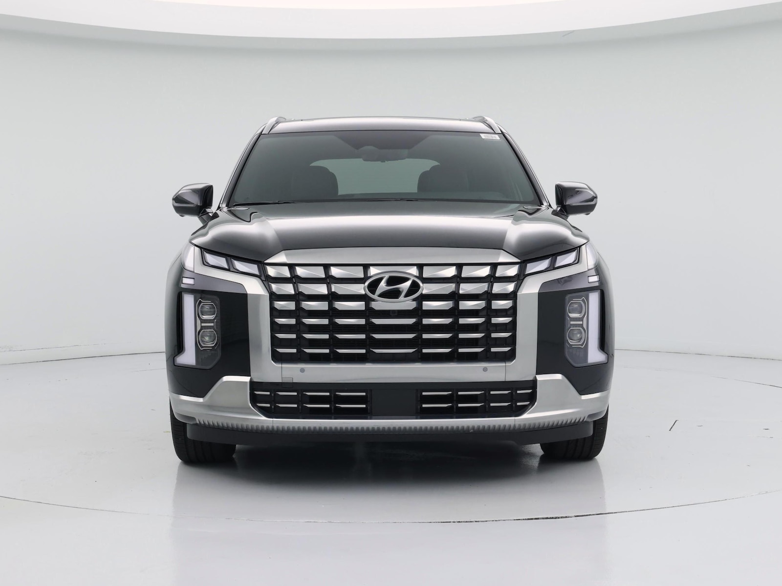 2025 Hyundai Palisade Calligraphy - Photo 6