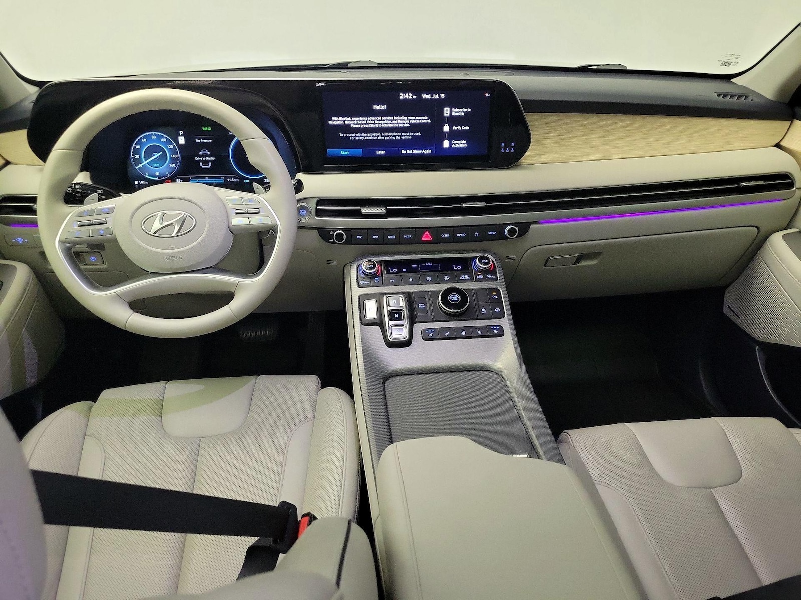 2025 Hyundai Palisade Limited - Photo 10