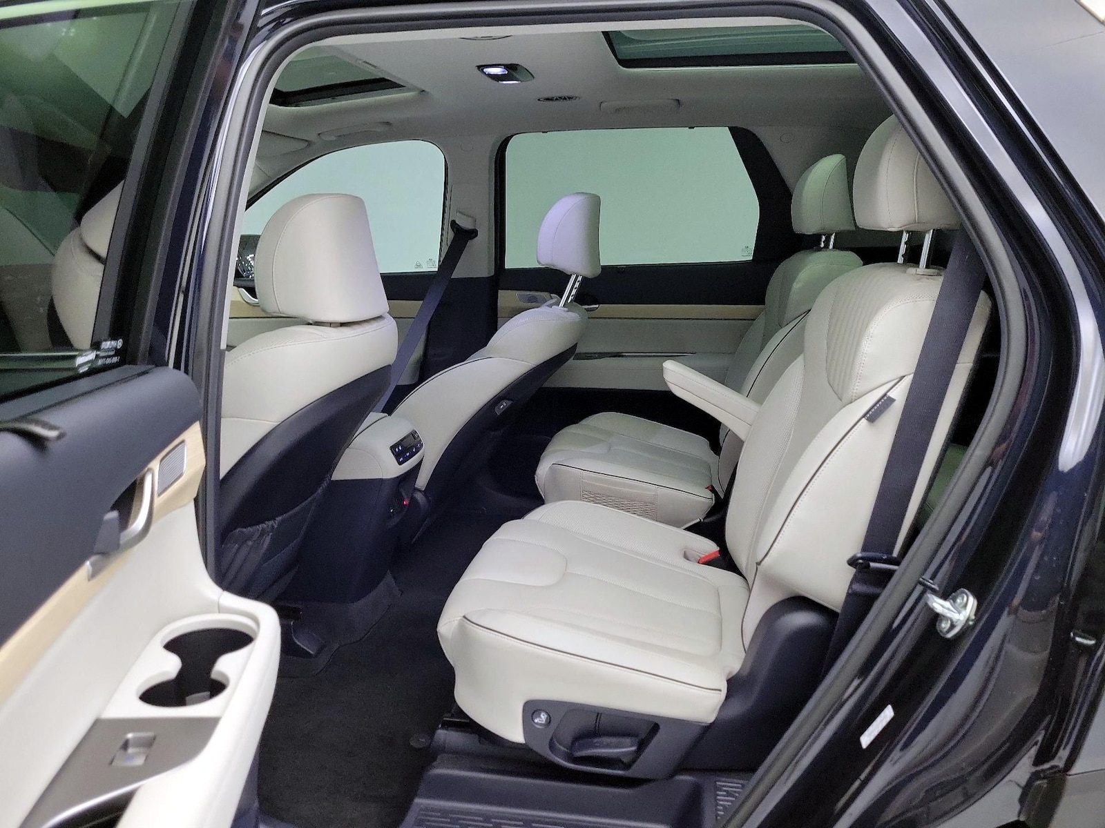 2025 Hyundai Palisade Limited - Photo 21