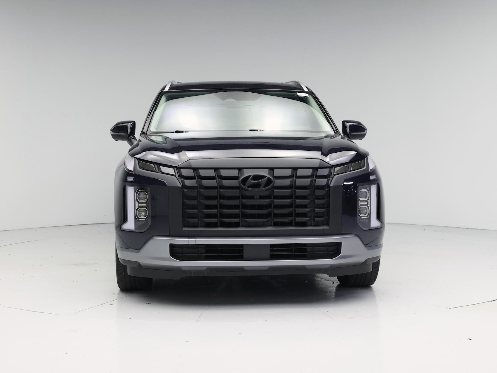 2025 Hyundai Palisade Limited - Photo 6