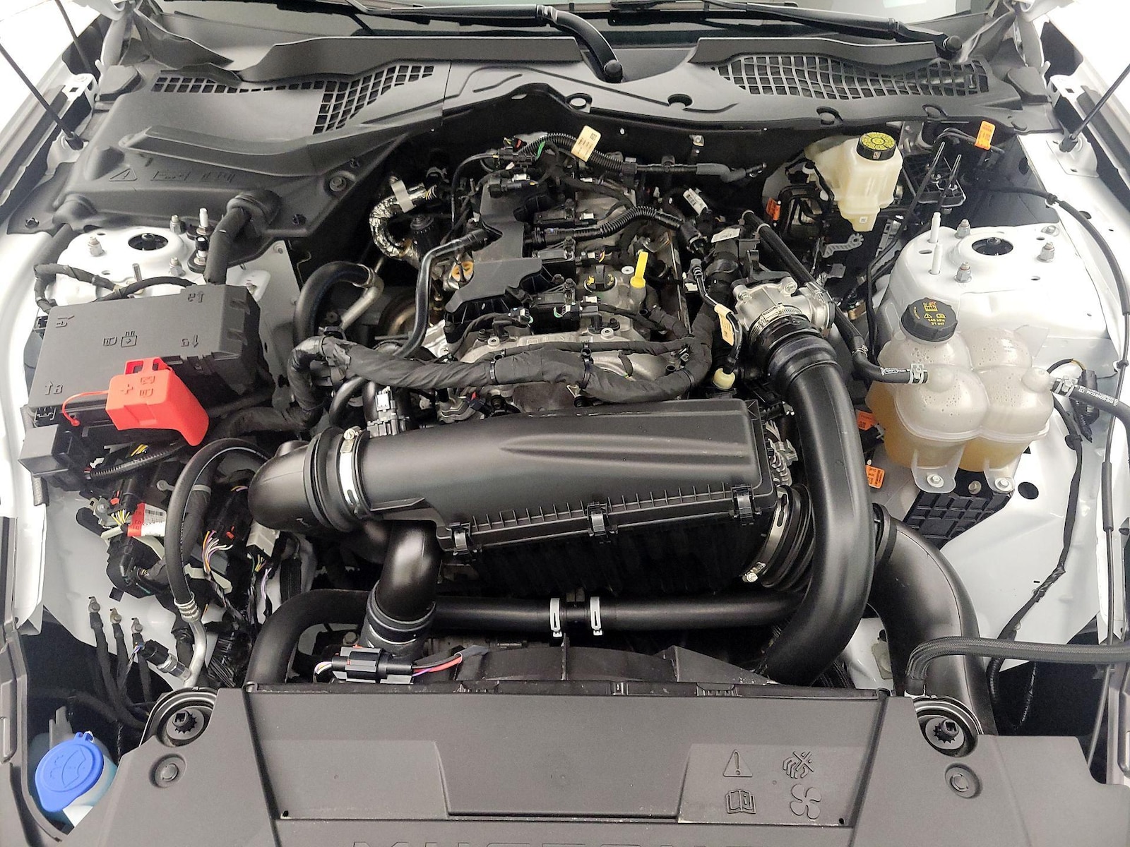 2026 Ford Mustang EcoBoost - Photo 20