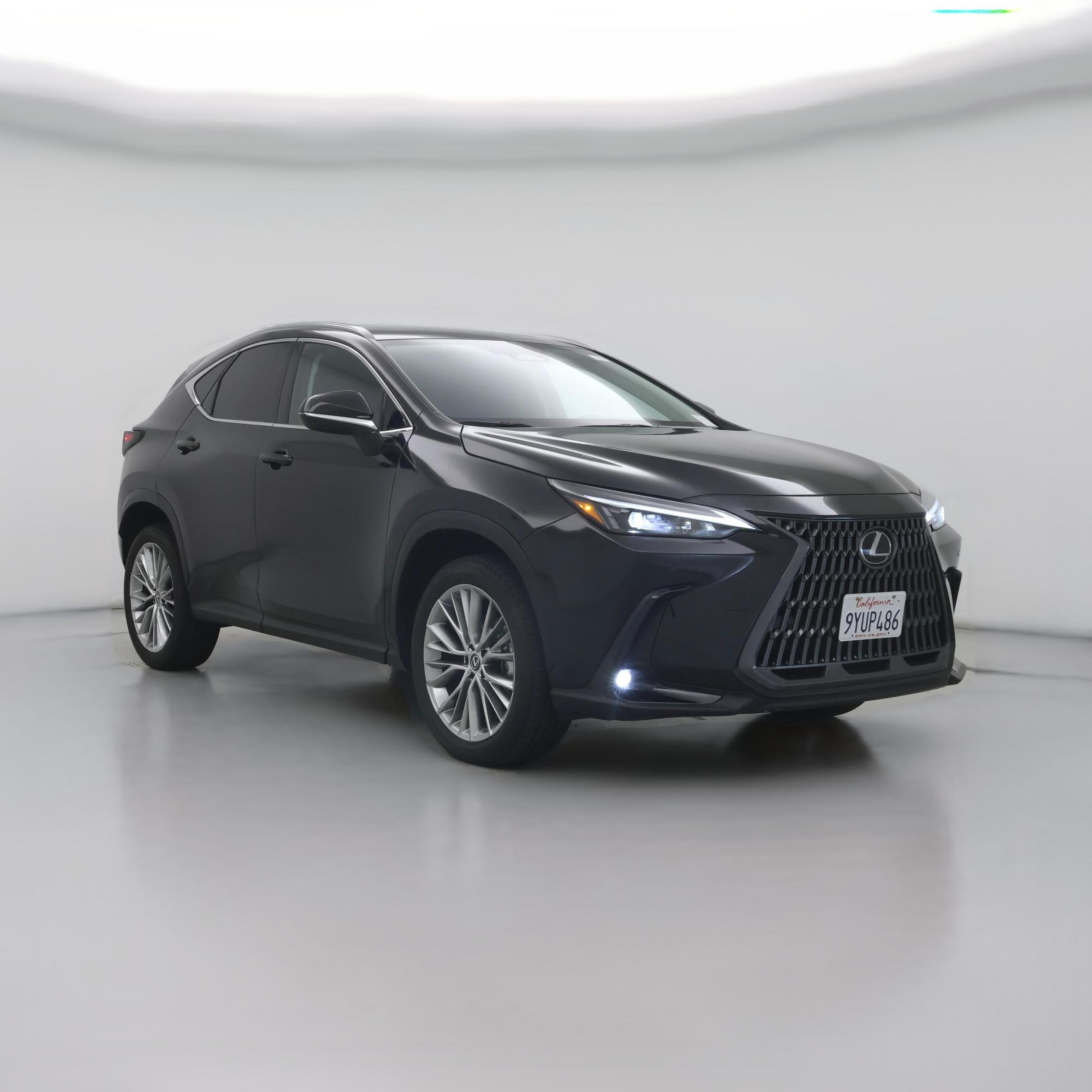 2025 Lexus NX