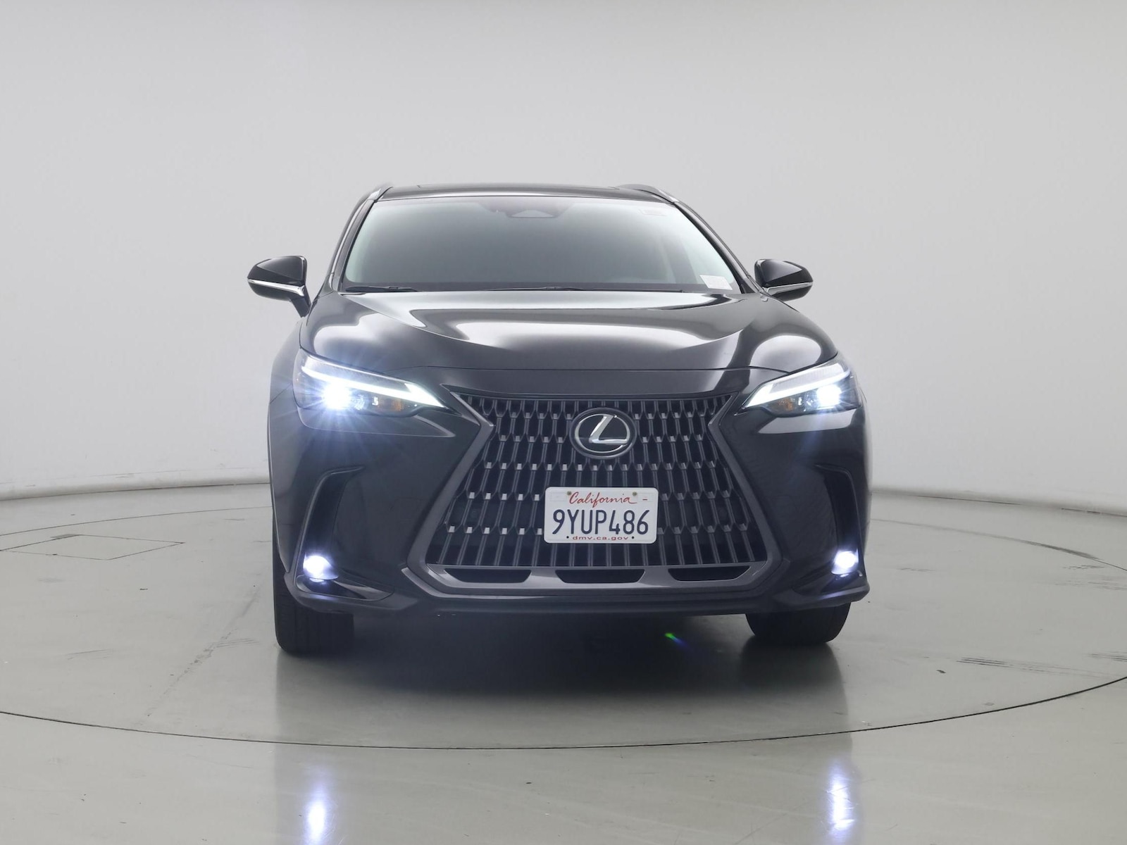 2025 Lexus NX Hybrid 350h - Photo 6