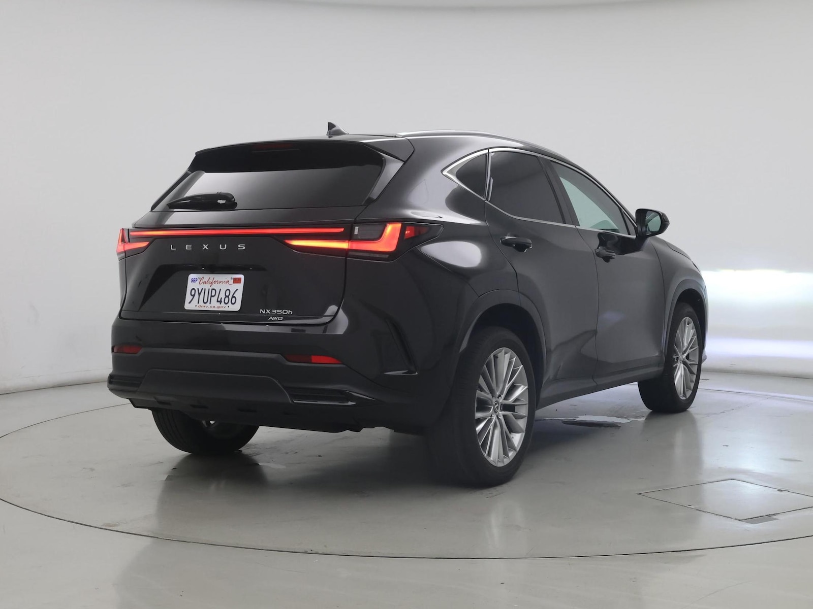 2025 Lexus NX Hybrid 350h - Photo 9