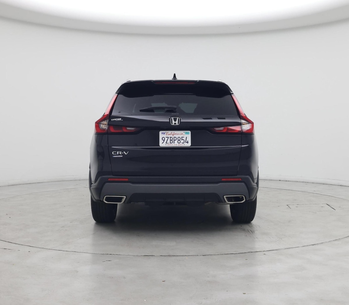 Rear